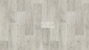 Линолеум Tarkett Stimul RIGARD_4 фото 1 | FLOORDEALER
