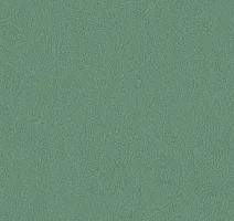 Линолеум Graboflex Gymfit 60 7483_00_279 фото 1 | FLOORDEALER