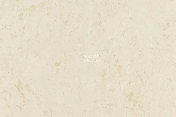 Линолеум Forbo Marmoleum Solid Concrete 3728-372835 Kaolin фото 1 | FLOORDEALER