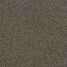 Ковролин Desso Torso B 9104 фото 1 | FLOORDEALER