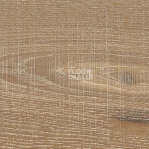 Пробковое покрытие Wood Xl Japanese Oak Graggy фото 1 | FLOORDEALER