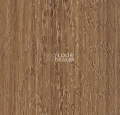 Кварцвиниловые полы Forbo Marmoleum Modular te5229 fresh walnut фото 1 | FLOORDEALER