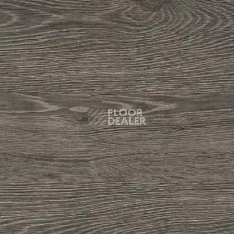 Пробковое покрытие Wood OAK RUSTIC SILVER фото 1 | FLOORDEALER