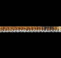 Haima Lily Beige фото 4 | FLOORDEALER