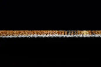 Haima Lily Beige фото 4 | FLOORDEALER