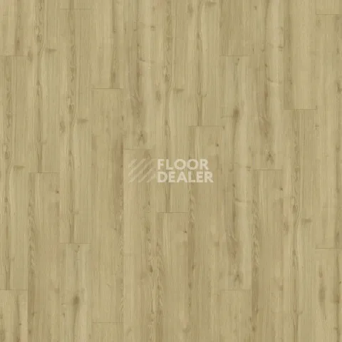 Kronotex Robusto 12мм d40792 (D4686) Дуб Тахо фото 4 | FLOORDEALER