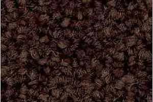 Ковровая плитка Tecsom 3580 dm 007 фото  | FLOORDEALER