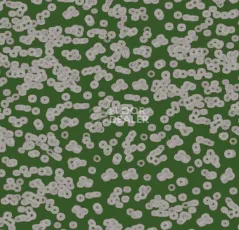 Ковролин Forbo Flotex Sottsass Bacteria 990403 фото 1 | FLOORDEALER