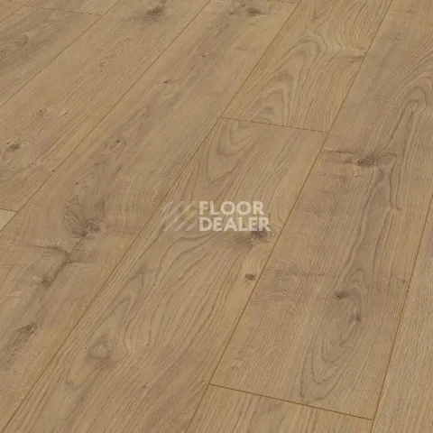 Ламинат Kronotex Mammut d4152 Дуб Эверест Натуральный фото 1 | FLOORDEALER
