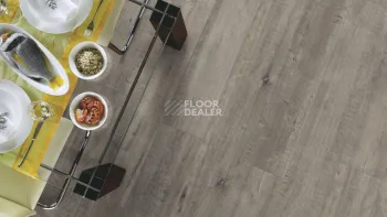 Kronotex Exquisit 8мм d4786 Дуб Гала Серый фото 4 | FLOORDEALER