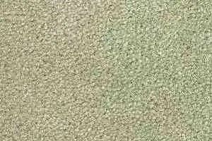 Ковролин Radici Montecarlo 63 фото  | FLOORDEALER