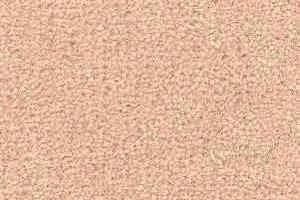 Ковролин Radici Montecarlo 40 фото  | FLOORDEALER