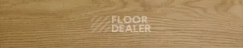 Evofloor Parquet Click 4.5мм Lanterna (Лантерна) фото 7 | FLOORDEALER