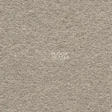 Ковролин AW Invictus Sirius 09 фото 1 | FLOORDEALER