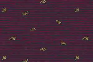 Ковролин Halbmond Step by Step 2 27701 фото  | FLOORDEALER
