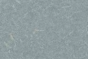 Линолеум Grabo Silver Knight Acoustic 7 455_858-6101 фото  | FLOORDEALER