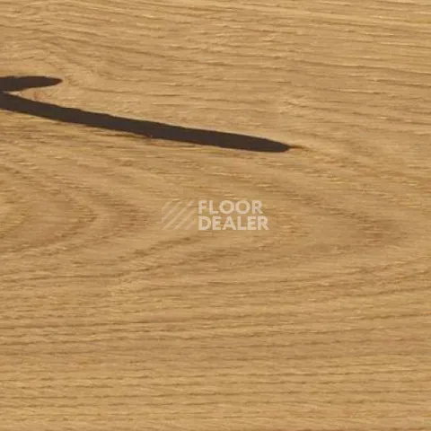 Пробковое покрытие Wood Xl замковое Oak Accent фото 1 | FLOORDEALER