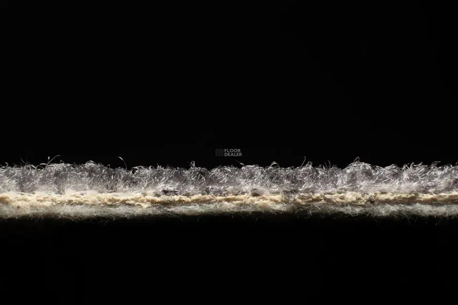 AW Racers 97 Racers фото 5 | FLOORDEALER