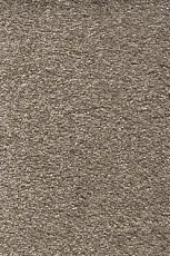 Ковролин AW Omnia 49 фото 1 | FLOORDEALER