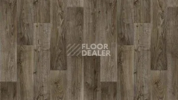 Линолеум Tarkett Stimul RIGARD_5 фото 1 | FLOORDEALER