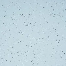 Mipolam BioControl Clean 5406 Moqui фото 1 | FLOORDEALER