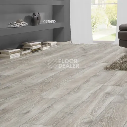 Kronotex Mammut d4797 Дуб Горный Серебристый фото 2 | FLOORDEALER