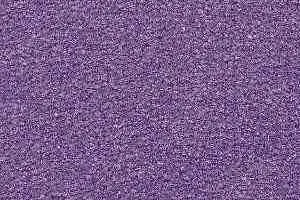 Ковролин Radici Montecarlo 88 фото  | FLOORDEALER