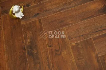 Evofloor Parquet Click 4.5мм Calcanhar (Калканхар) фото 3 | FLOORDEALER