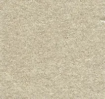 Ковролин AW Sensation 35 фото 1 | FLOORDEALER