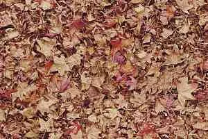 Ковролин Halbmond Pure Elements 13843 фото  | FLOORDEALER