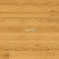 Пробковое покрытие Wood Essence D8F7001  Golden Prime Oak фото 1 | FLOORDEALER