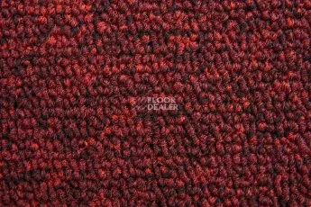 AW Medusa 11 фото 4 | FLOORDEALER