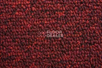 AW Medusa / Медуза 11 фото 4 | FLOORDEALER