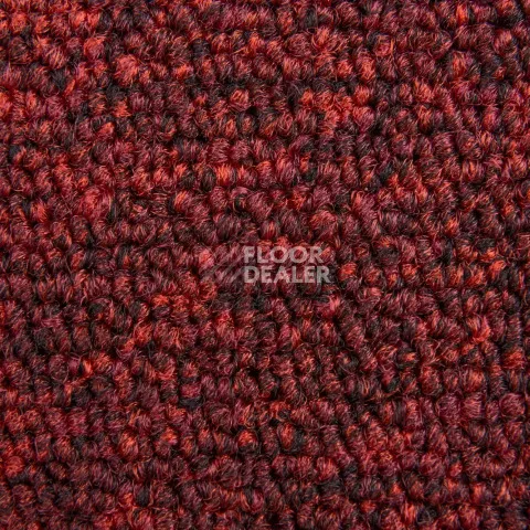 AW Medusa / Медуза 11 фото 4 | FLOORDEALER