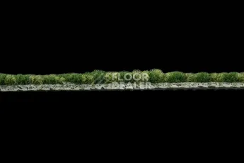 Haima Coral 30 фото 4 | FLOORDEALER