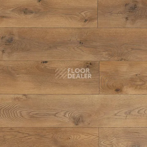 Ламинат My Step Mega 12 ms 2912 Дуб Кёльн фото 1 | FLOORDEALER