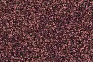 Ковровая плитка Balsan Mezzo 590 фото  | FLOORDEALER