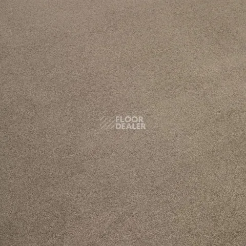 Condor Stockholm 492 фото 15 | FLOORDEALER