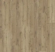 Kronotex Mega Plus d3668 Дуб Неброский фото 5 | FLOORDEALER