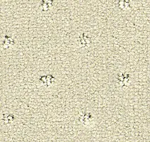 Ковролин Balsan Royal 605 фото 1 | FLOORDEALER