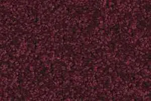 Ковролин Balsan Serenite 590 фото  | FLOORDEALER