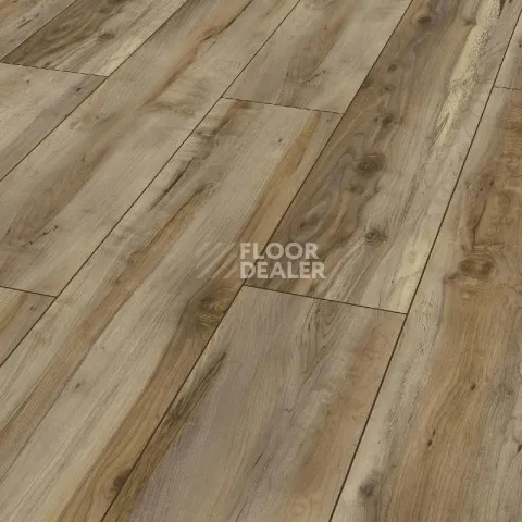 Ламинат Kronotex Exquisit 8мм d6007 Клен Каньон фото 1 | FLOORDEALER