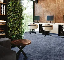 ITC Oberon