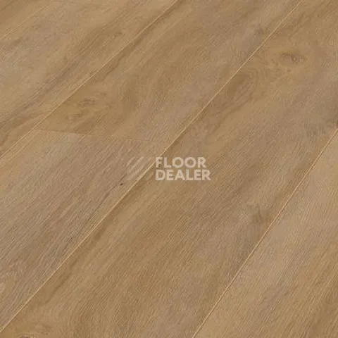 Ламинат Kronotex Robusto 12мм d4955 Дуб Натуральный Премиум фото 1 | FLOORDEALER