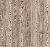 Ламинат My Step Arto 10мм Сосна Корнелис D50147 фото 1 | FLOORDEALER