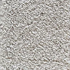 Ковролин AW Masquerade Fedone 95 фото 1 | FLOORDEALER