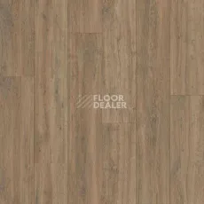 Линолеум Polystyl Polaris FALCON_2 фото 1 | FLOORDEALER