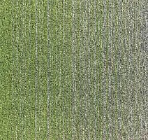 Ковровая плитка Escom Object Art 638 4273 фото 1 | FLOORDEALER