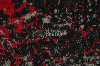 Innova Мираж q 492 05 фото 2 | FLOORDEALER
