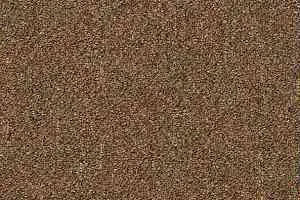 Ковровая плитка Shaw Momentum 02721 фото  | FLOORDEALER